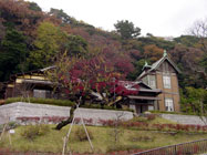 �������@�̑S�i