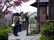 ���w��̗l�q