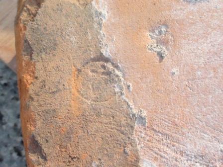 �����K����