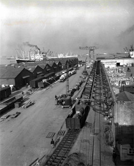 �펞���̎ʐ^